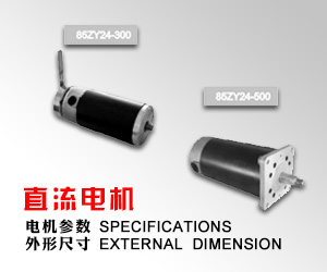 橫店集團聯宜電機有限公司