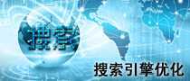 搜索引擎優化